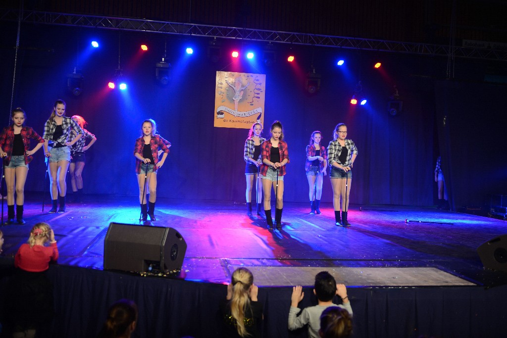../Images/Dansmarieke Festival 2016 340.jpg